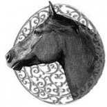 cropped-horse2520head