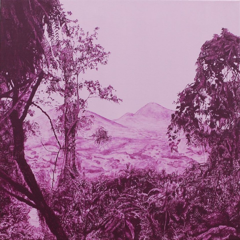 Operation Turquoise Paul McKinley