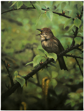 EMH_fruitthingwithoutparts