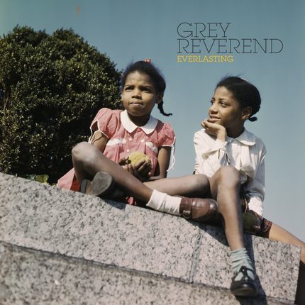 grey-reverend-everlasting