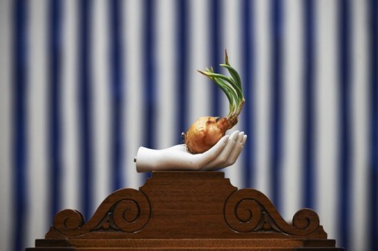 phoca_thumb_l_leewelch0028