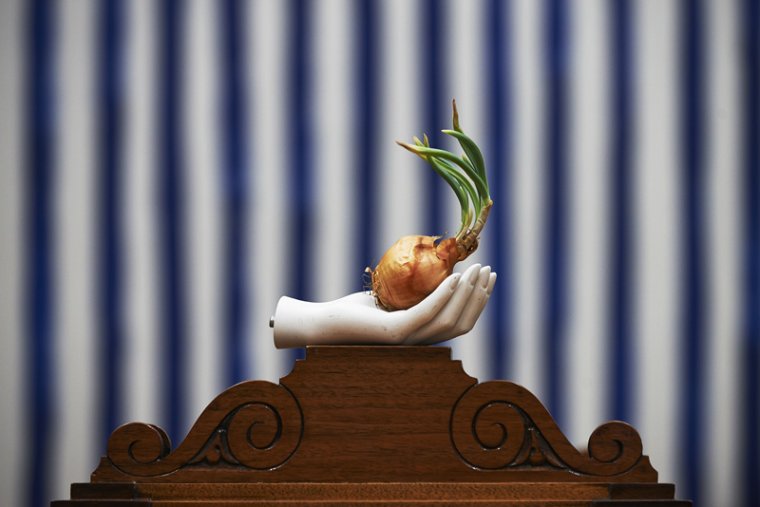 phoca_thumb_l_leewelch0028