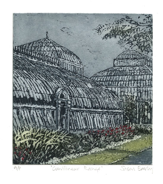 Botanics Early Susan wev- Curvilinear Range