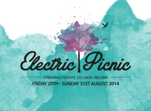 Electric Picnic 14