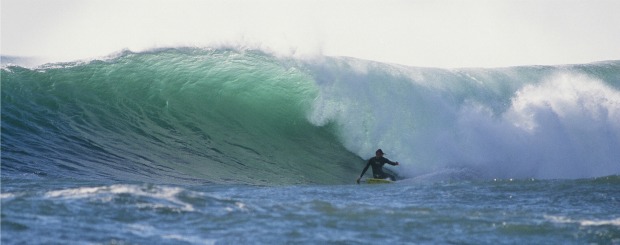 Wayne Lynch in Victoria, Tasmania and South Australia
