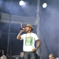 Pharrell Williams in Marlay Park