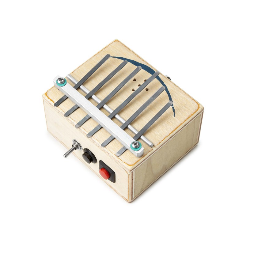 zoots the Kalimba Recorder