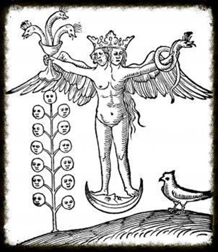 metamorphosis poster