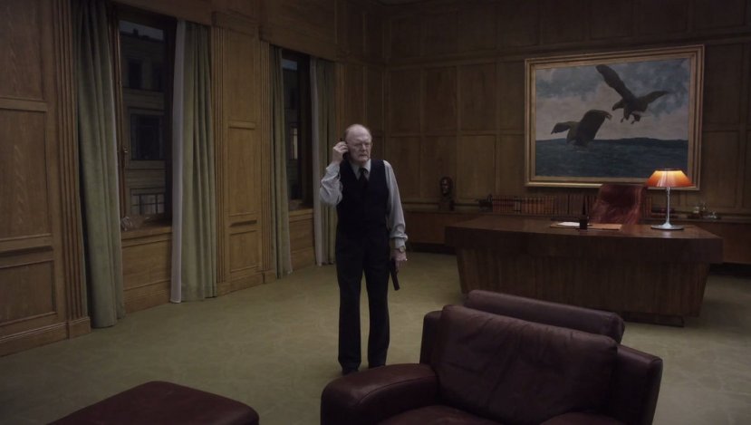 A-Pigeon-Sat-on-a-Branch