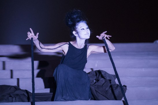 hibrido-original-yumiko-solo2