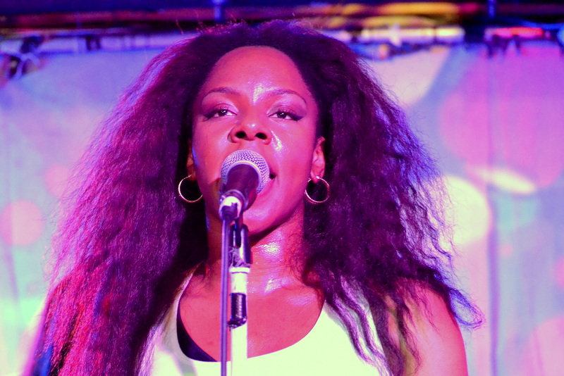 The Go! Team rock Whelans