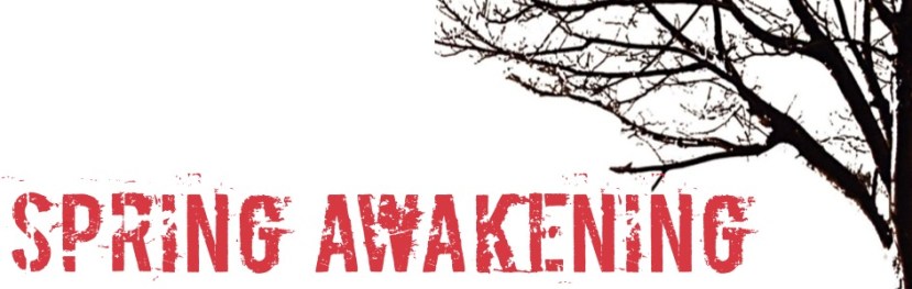 003_SpringAwakening