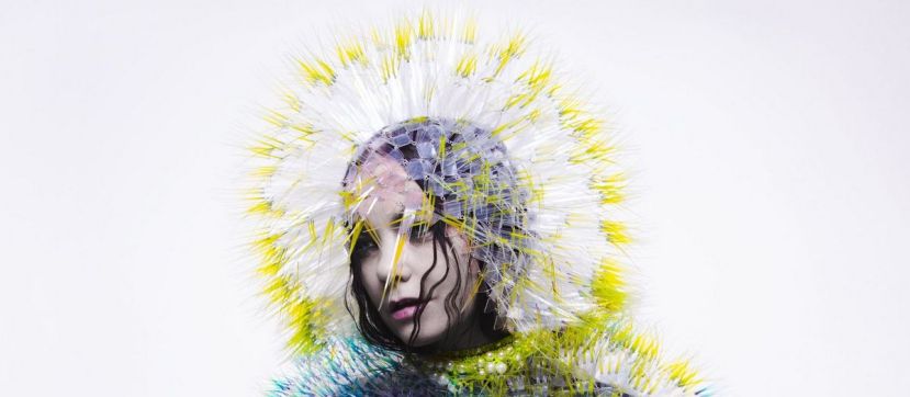 bjork-vulnicura-header-002