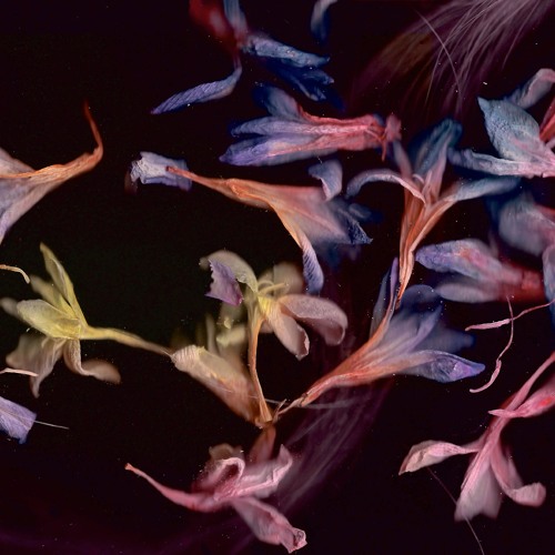 artworks-000147391855-7euxpl-t500x500