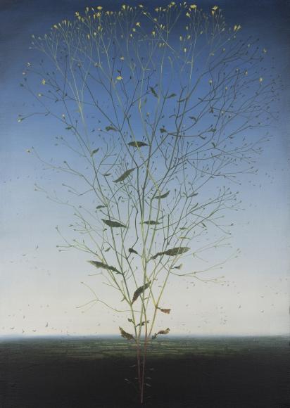 larger-MCanning-Antoine-Busnois