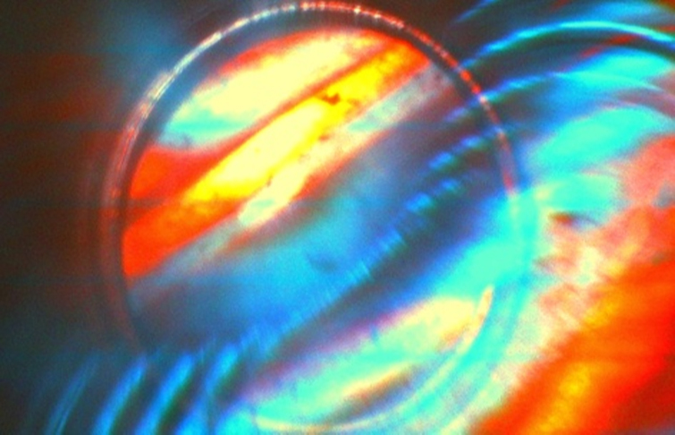 solarbears