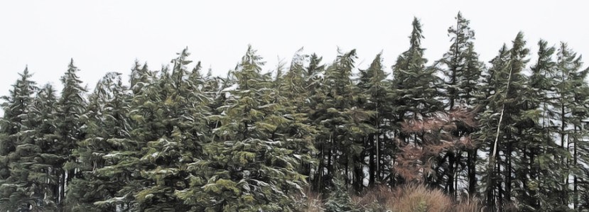 CHEM238-Banner-911x329