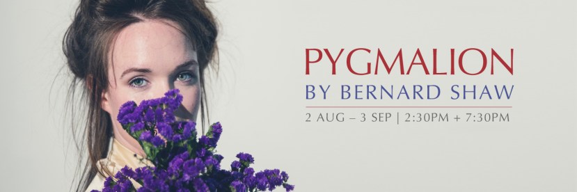 PYG_banner_01-4
