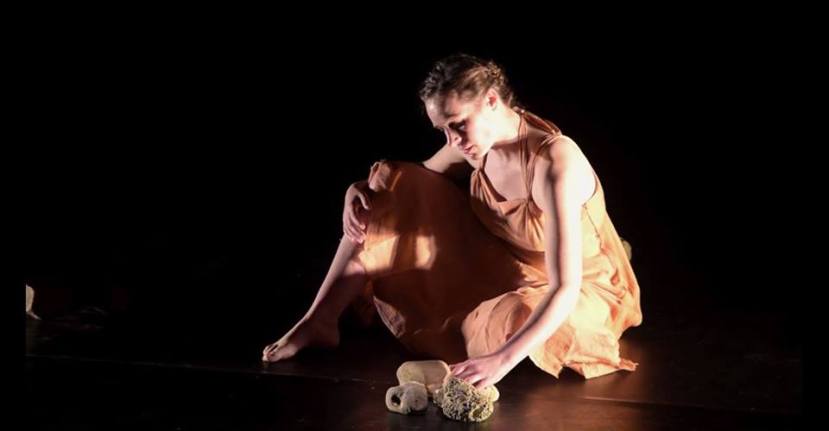 16265369_605660919638331_3462615640435607876_n