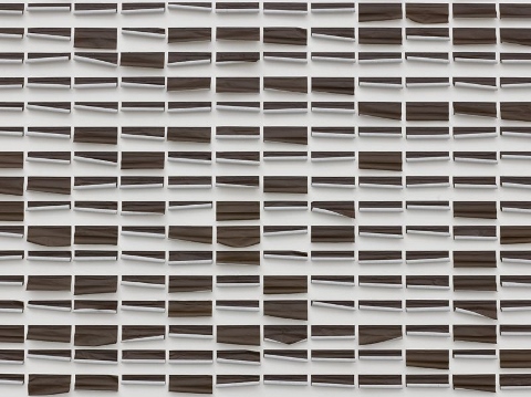 page_1_jac_leirner_skin_rizla_liquorice_2013_screen_res_1_480x359_2