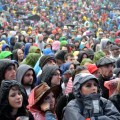 Crowd – Forbidden Fruit 2017