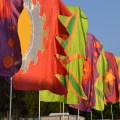 Flags at Forbidden Fruit 2018