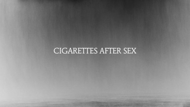 do birds eat cigarettes Cigarette butts pollute the oceans and are consumed by animals